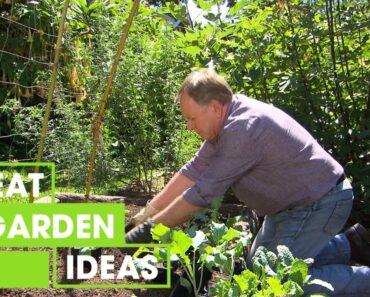 Winter Veg Gardening | Gardening | Great Home Ideas
