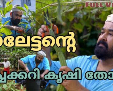 Mohanlal Organic farm Full video | Mohanlal | Vegetable Garden | Barroz