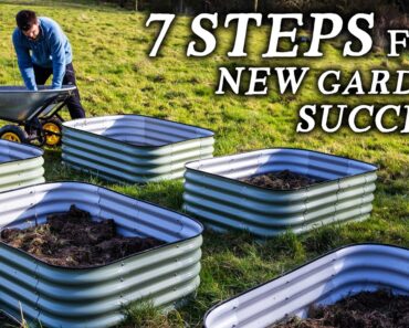 If I Were Starting a Vegetable Garden in 2022, This is What I’d Do (7 Steps)