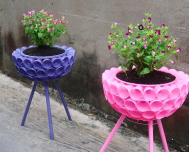 Unique & Beautiful, Recycling plastic bottles in Flower Pots for Small Garden