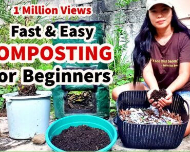 FAST & EASY COMPOSTING FOR BEGINNERS AT HOME | MAKE COMPOST FAST | WITH ENGLISH SUB