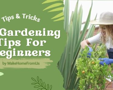10 Beginner Gardening Tips | Gardening for Beginners