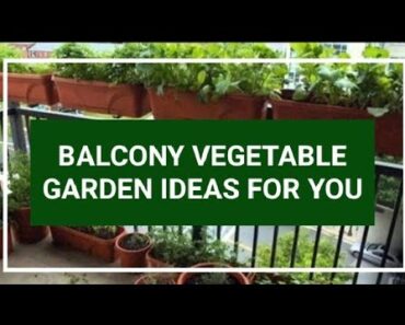 BALCONY VEGETABLE GARDEN IDEAS FOR YOU | balcony garden