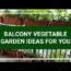 BALCONY VEGETABLE GARDEN IDEAS FOR YOU | balcony garden