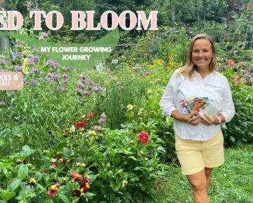 A Flower Garden Started Entirely From Seed – I’m Spilling The Seeds | The Southern Daisy