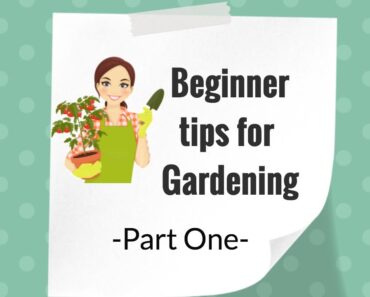 Beginner Tips for Gardening🌿🌻-Part One-