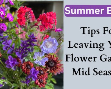 Summer Break | Tips For Leaving Your Flower Garden Mid Season