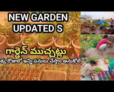 Vegetable Garden | Garden Updets | New garden ideas | Garden tips and Trics