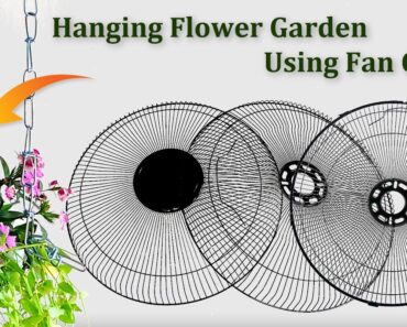 Hanging Vertical  Flower Garden Ideas for Home//GREEN PLANTS