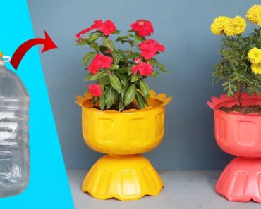 DIY Idea, Turning Plastic Bottles Into A Beautiful Flower Pot For A Small Garden