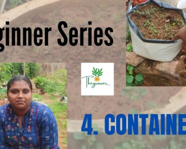 Beginner Series – 4) CONTAINERS🌱| Tips for Beginners to learn Gardening! #BeginnerSerier #GardenTips