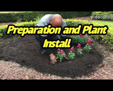 Flower bed preparation and install