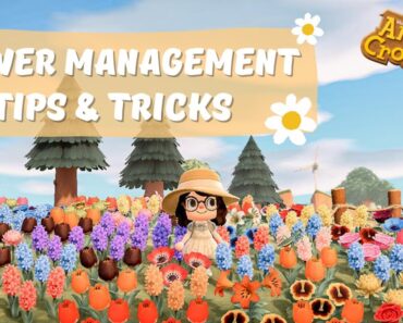 Flower Management Tips & Tricks // Animal Crossing New Horizons