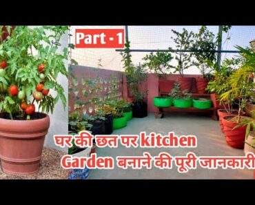 How to Make a Terrace Vegetables Garden