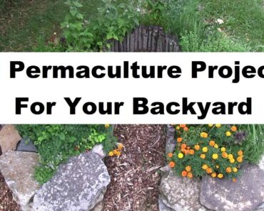 10 Permaculture Projects For Your Backyard