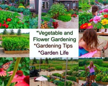 ‘Vegetable & Flower Gardening | Garden Life | Garden Tips’, Just Life in the Garden 3-23