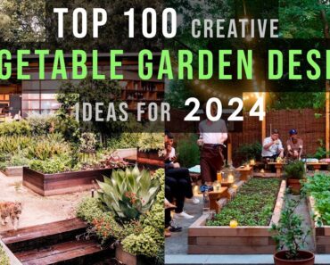 Top 100 Creative Vegetable Garden Design and planning Ideas for Home garden 2022