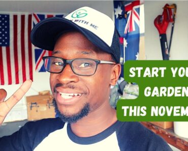 What to Grow in November! Beginner Gardening Tips!!