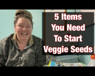 5 Items You Need To Start Vegetable Seeds Indoors 🍅🫑 Beginner Gardening #seeds #gardening #howto