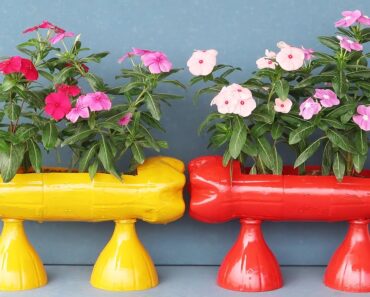 How To Make Flower Pots From Plastic Bottles, Recycle Beautiful Plastic Gardening Bottles
