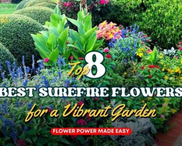 Flower Power Made Easy: 8 Best Surefire Flowers for a Vibrant Garden 🌻🌺🌹 // Gardening Ideas
