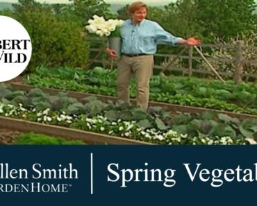 Growing a Spring Vegetable Garden | Garden Home (702)