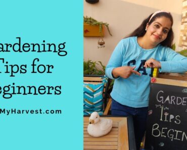 Gardening Tips for Beginners | Getting Smarter Than Your Maali or Gardeners 🏡👩‍🌾💚