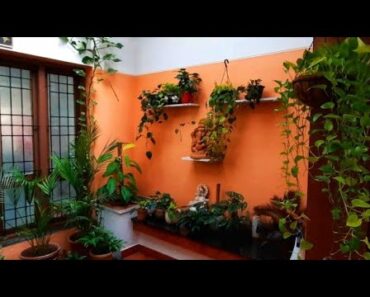Indoor plants setting ideas / Indoor plants decoration / My Indoor garden tour / malayalam