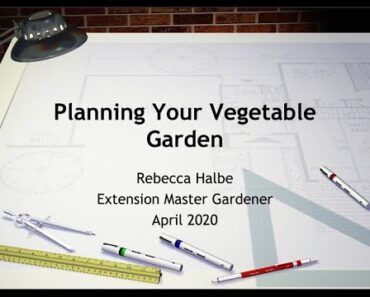Vegetable Garden Design for Success