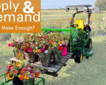 Overwhelming Demand? Tips for a busy roadside flower stand!