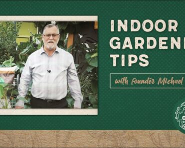 Indoor Gardening Tips w/ Gaia Green