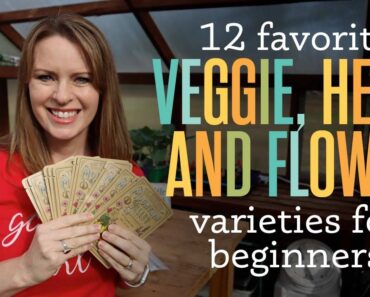 12 Favorite Veggie, Herb, & Flower Varieties for Beginners – True Leaf Market Seeds