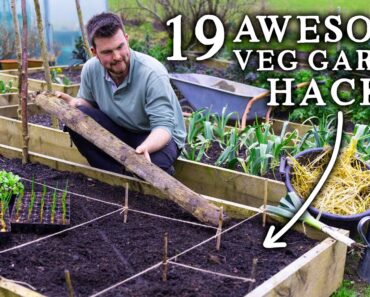19 Vegetable Gardening Hacks for AMAZING No Dig Harvests