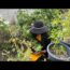 #67 My Small Vegetable Garden in Germany | Container gardening | For Beginners