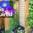 Grow Climbing Vines Along a Fence Wall | Morning Glory Flower Garden | DIY How To