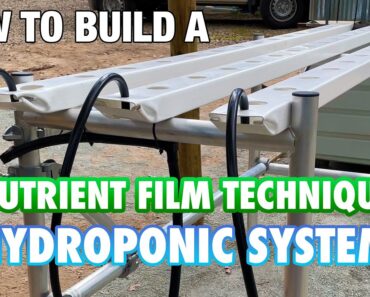 How to Build & Set Up a NFT Hydroponic System