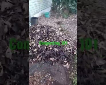 How to compost.  Beginner Gardening Vlog #garden #shorts #beginnergardner #gardenvlog