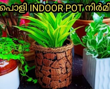indoor pot | best out of waste | gardening tricks | gardening ideas #shorts #shortvideo