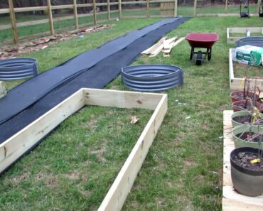 Framed, Raised and Earth Vegetable Garden Beds: Costs, Designs & Principles – My First Beds are In!