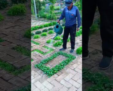 Super Gardening 😉 #satisfying #short