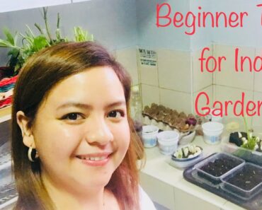 Beginner Tips for Indoor Gardening