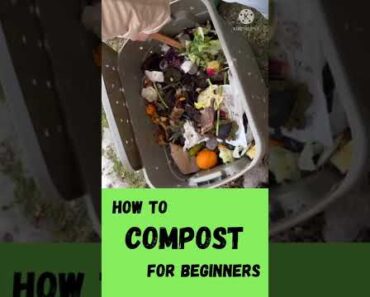 How to Compost for Beginners #gardening #sustainable #earthday