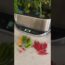 Indoor gardening tips ~ pt 2 #hydroponics #indoorgardening #apartmentgardening