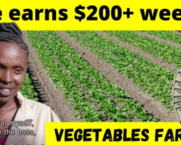 Meet Naomi, an indigenous Vegetable Kenyan Farmer | How to start vegetable farming at home