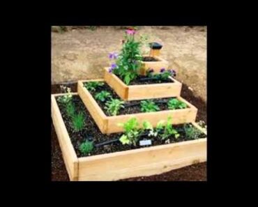 Small Vegetable Garden Ideas