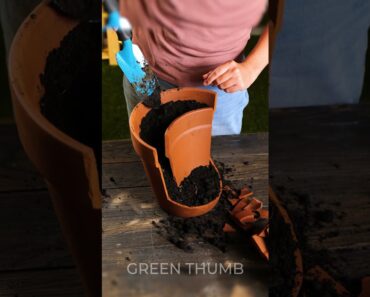 Creative indoor gardening hacks 🌱🪴 #shorts #planting #indoor #garden
