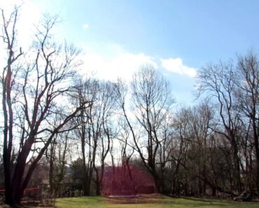 Where & How to Place Your Vegetable Garden Beds: Maximizing the Sun on Your Homestead