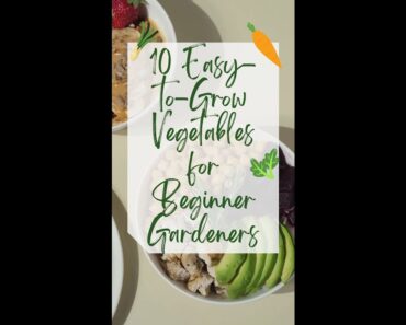 10 Easy to Grow Vegetables for Beginner Gardeners | BE YOUR OWN GARDENER