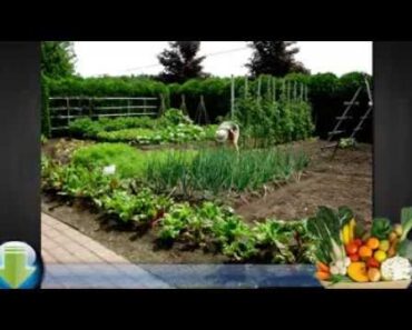 Thinking About the Organic Food Garden Beginners Manual?