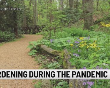 SC Botanical Garden offers tips to beginner Spring gardeners